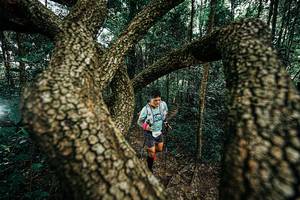 BIB: 
                            <button type="button" onclick="openModal(25394035)" class="btn btn-primary btn-sm float-right btn-popup" data-toggle="modal" data-target=".modal-high-quality">
                        <i class="fas fa-shopping-cart"></i> Add to Cart
                    </button>
                                            <button type="button" onclick="isThisMe(25394035, true)" class="btn btn-success btn-sm float-right btn-popup btn-isme hidden" data-toggle="tooltip" data-placement="bottom" title="นี่คือรูปของคุณใช่ไหม คลิกที่นี่เพื่อเอาเข้าอัลบั้ม">
                        <i class="fas fa-plus"></i> Add to album
                    </button>
                    <button type="button" onclick="isThisMe(25394035, false)" class="btn btn-warning btn-sm float-right btn-popup btn-isnotme hidden">
                        <i class="fas fa-ban"></i> Remove from album
                    </button>